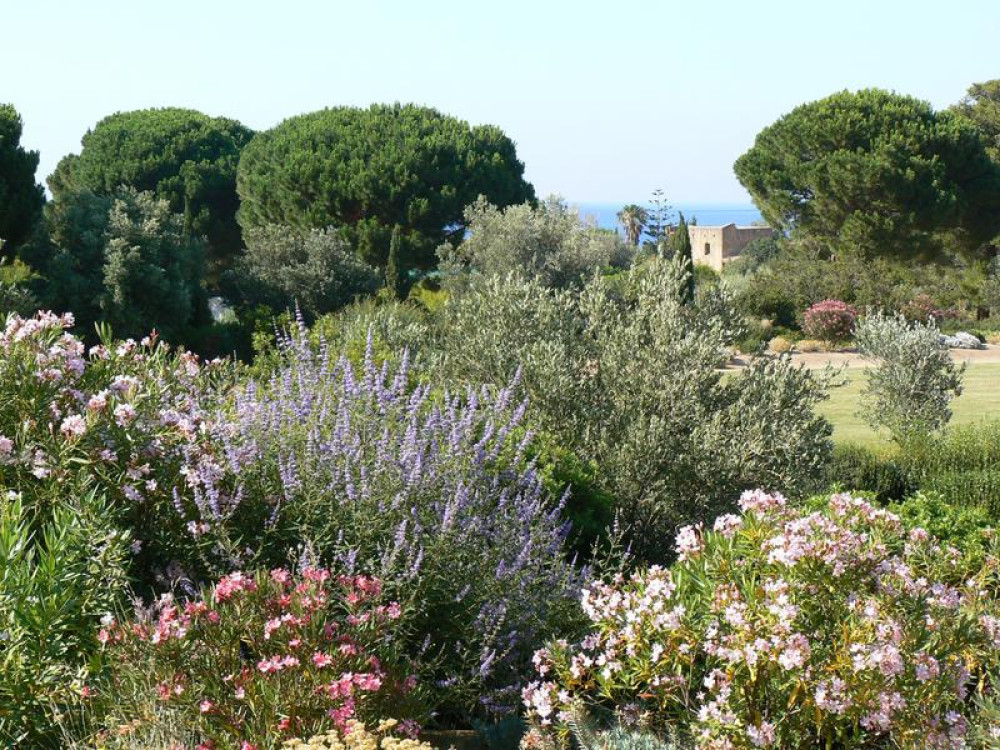 site
