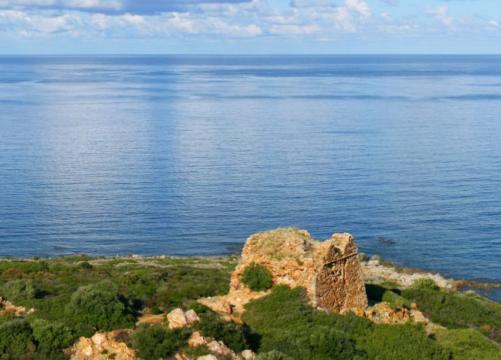 site