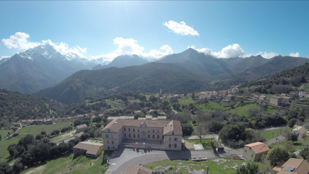 site