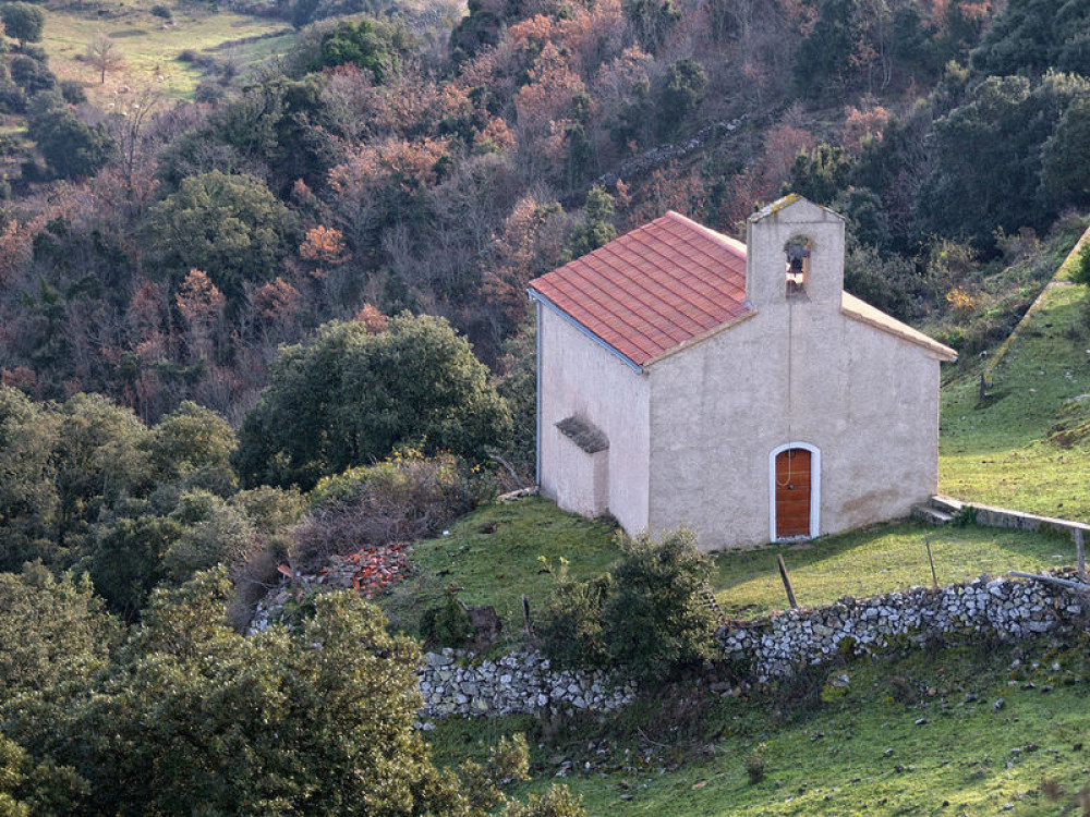 site