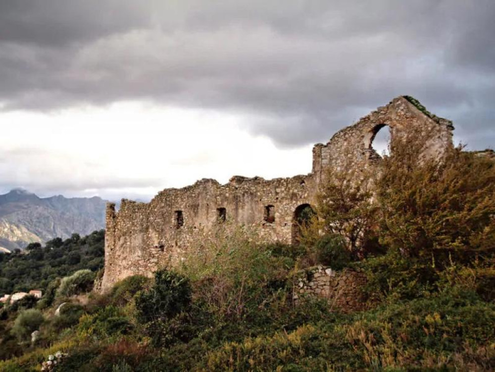 site