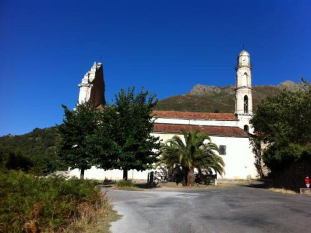 site