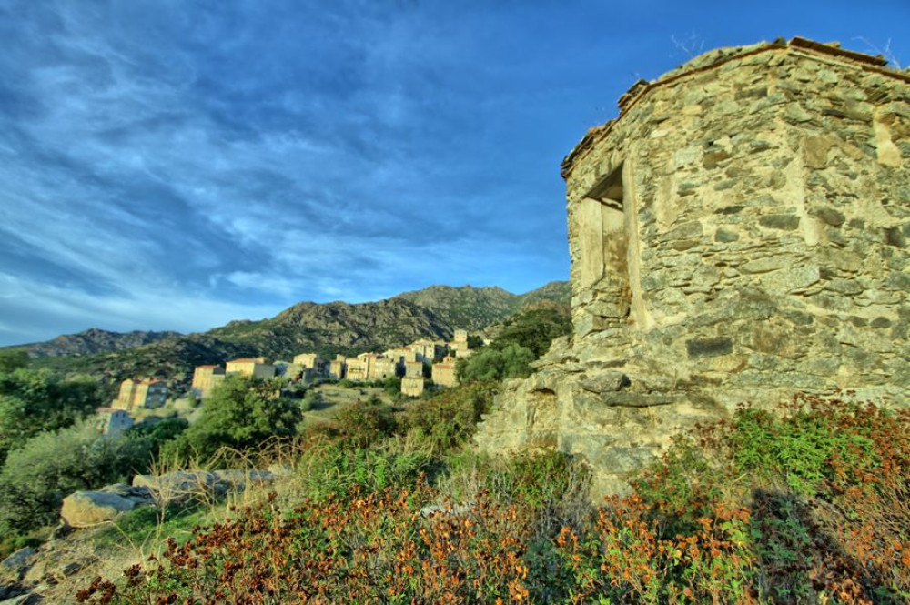 site