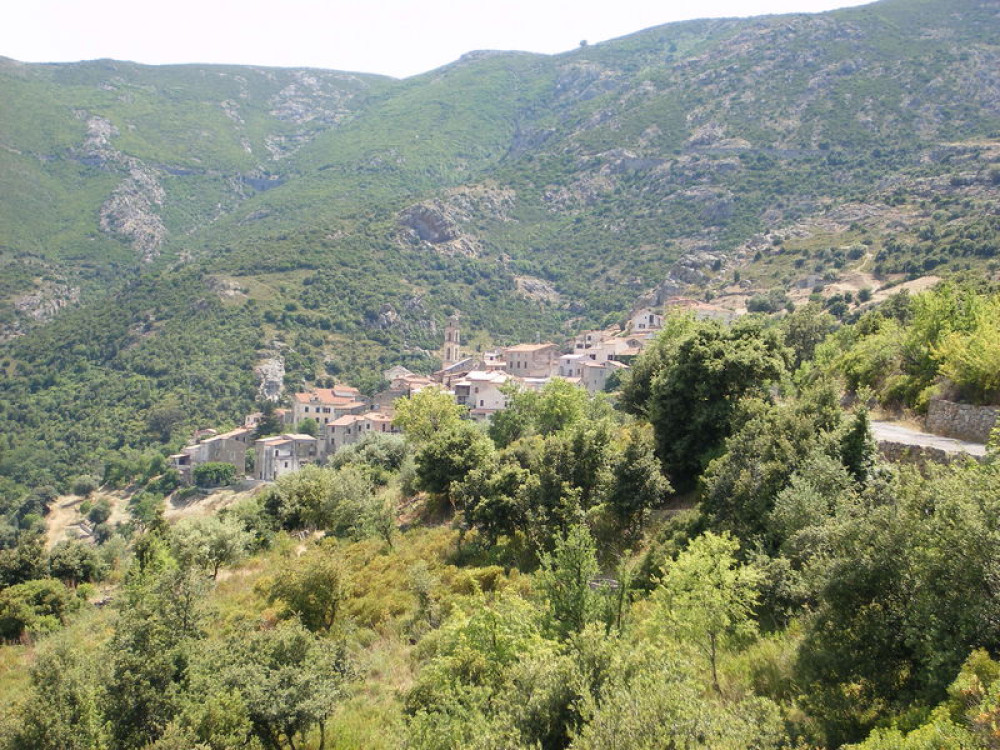 site