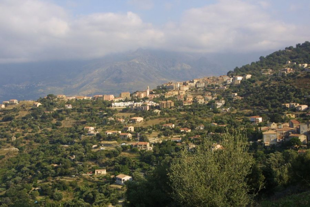 site