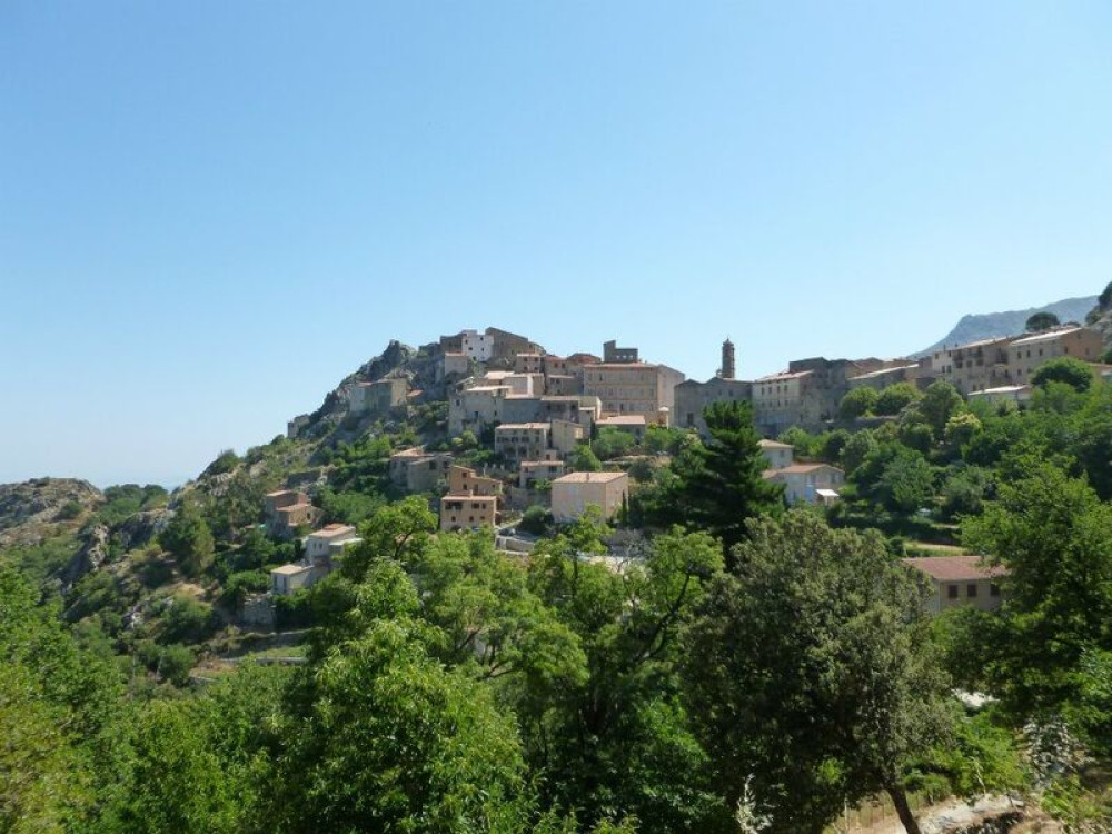 site