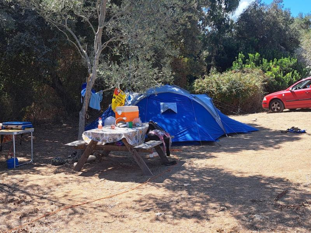 site