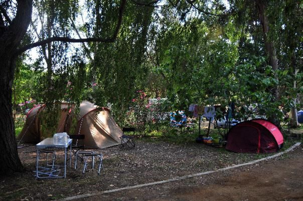 site